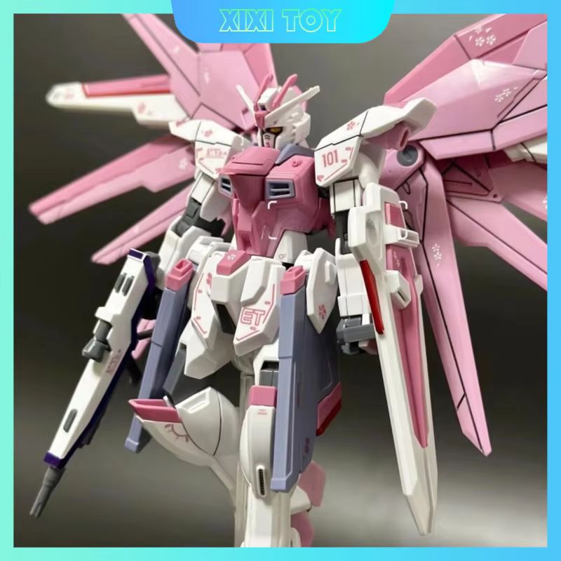 JMS HG 1/144 ZY-06 Freedom Ass - огляд і ціна Bandai Gundam Hg