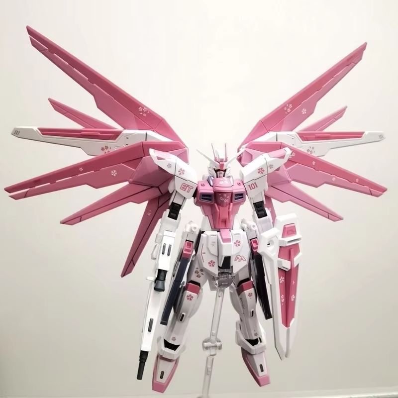 JMS HG 1/144 ZY-06 Freedom Ass - огляд і ціна Bandai Gundam Hg