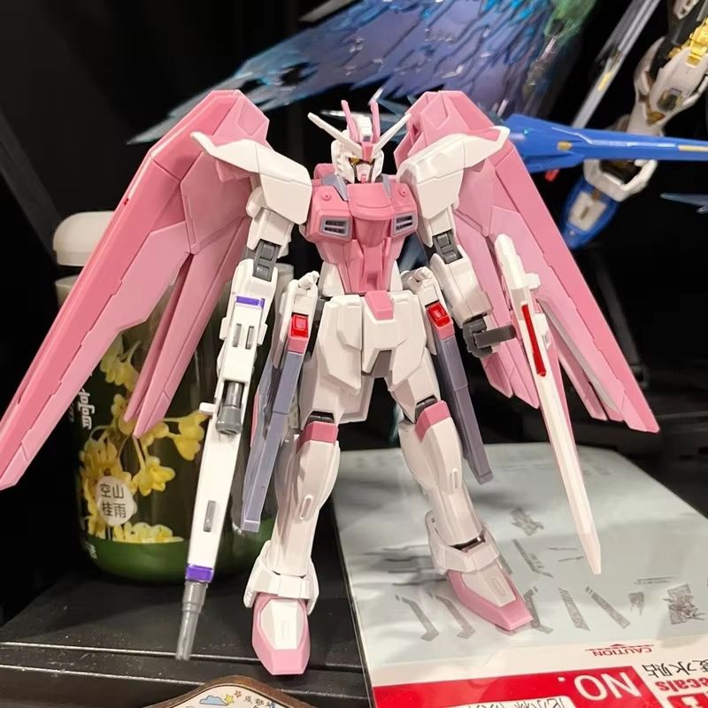 JMS HG 1/144 ZY-06 Freedom Ass - огляд і ціна Bandai Gundam Hg