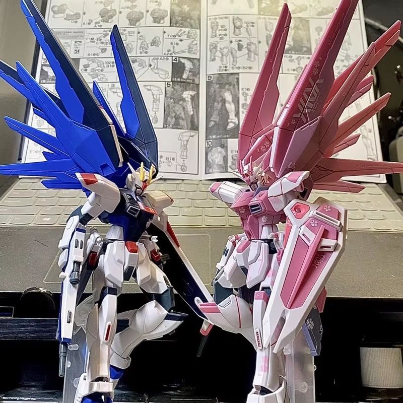 JMS HG 1/144 ZY-06 Freedom Ass - огляд і ціна Bandai Gundam Hg